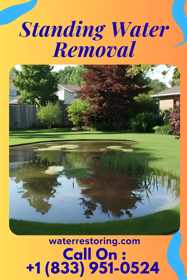Standing Water Removal in Thayer, MO